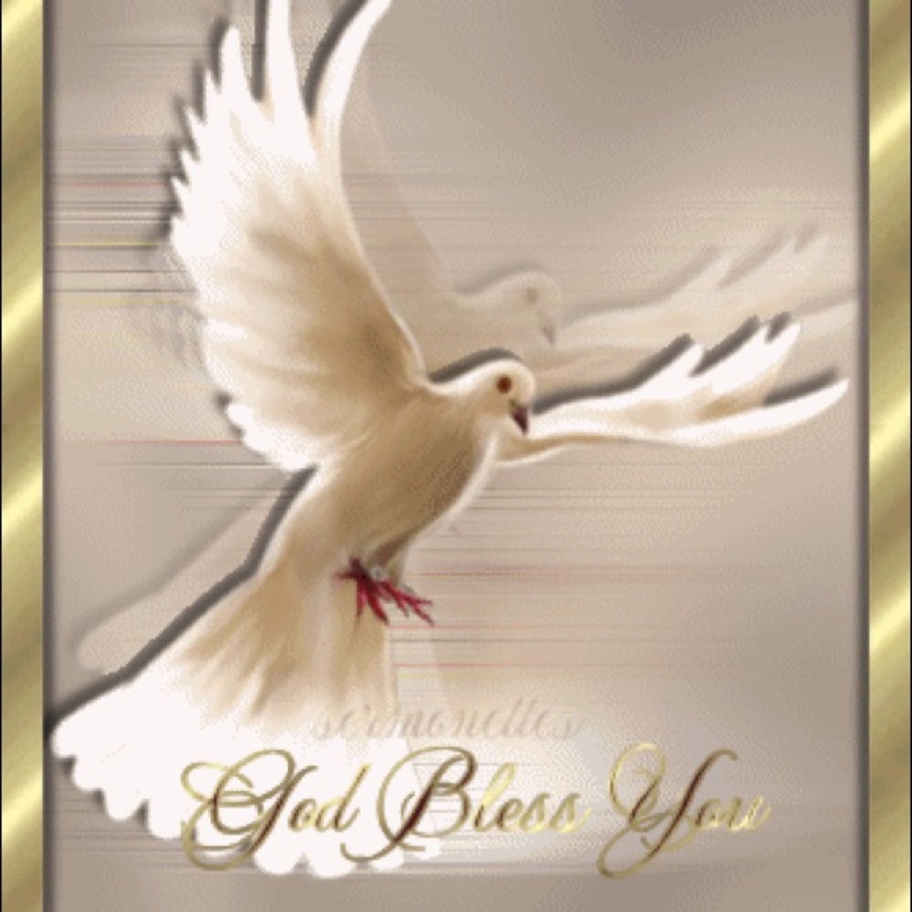 Meet your Posher, Cheri